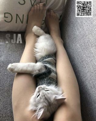 如懿传电视剧在线观看免费版