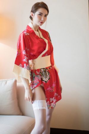 回复术士
