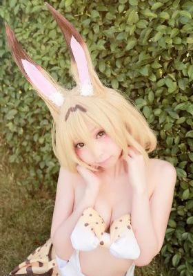 妖猫传电影免费观看全集