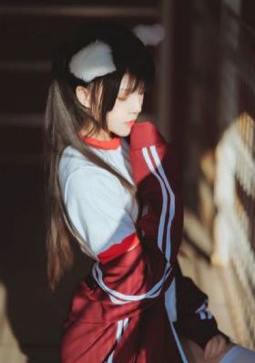 借种全集