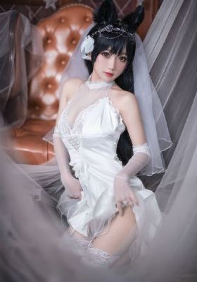 搜查官在线观看